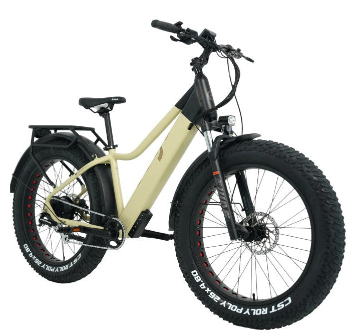 SHIPPING – Ebgo Electric Bikes