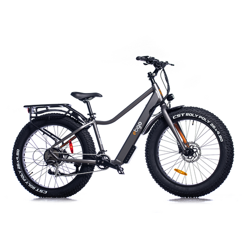 CCEF Certified Open Box Ebgo Electric Bikes